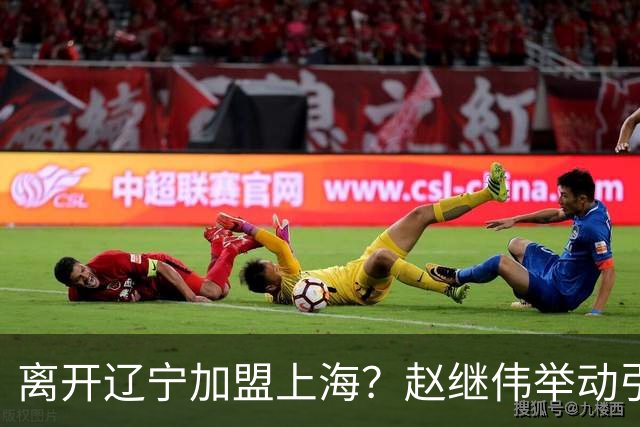 离开辽宁加盟上海？赵继伟举动引猜想，卢伟表态有深意 1队更合适